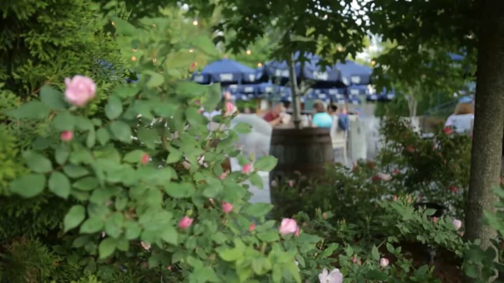 A blurry view of guests dining under blue umbrellas at Pineville Tavern